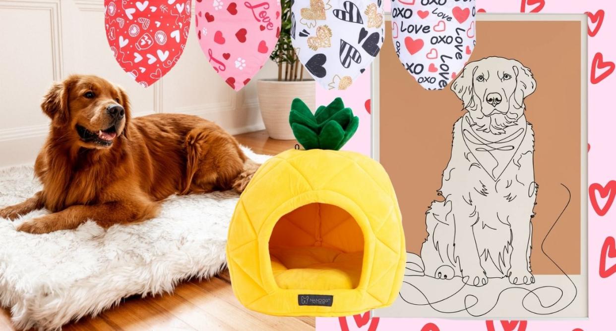 Valentine's Day gift ideas for your pet.