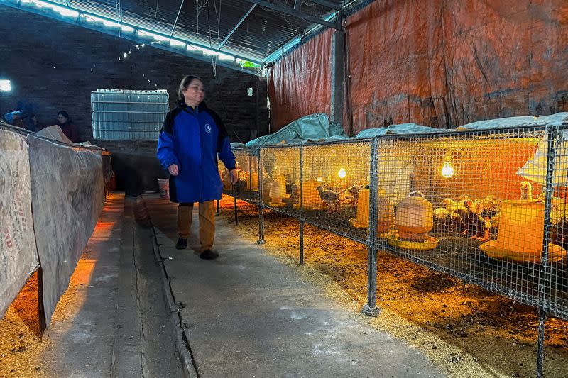 Meet Vietnam’s ‘dragon-feet’ chicken, a Lunar New Year delicacy