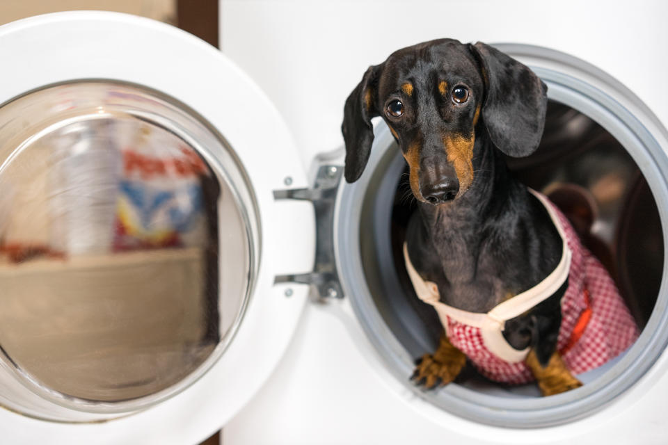 These non-toxic pet hair removers work like a charm in the washer or dryer. (Photo: Getty)