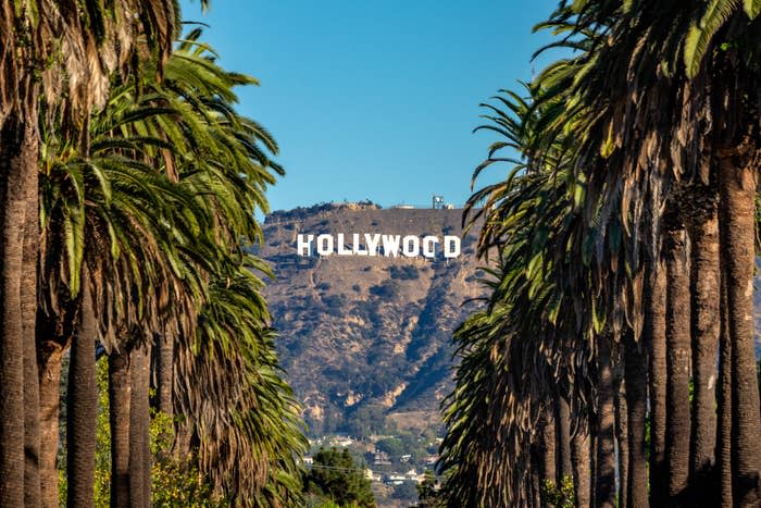 The Hollywood sign and a row of palm trees