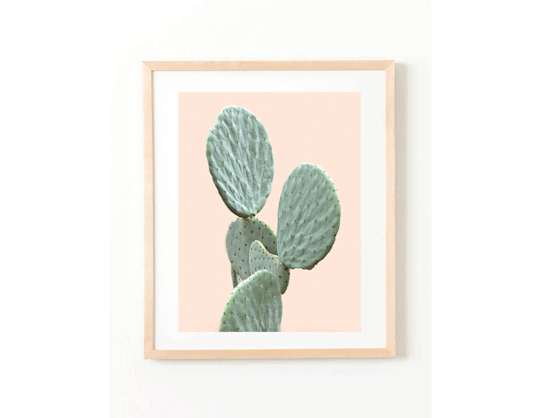 The combination of pastels and prickly pear is always a winner. 