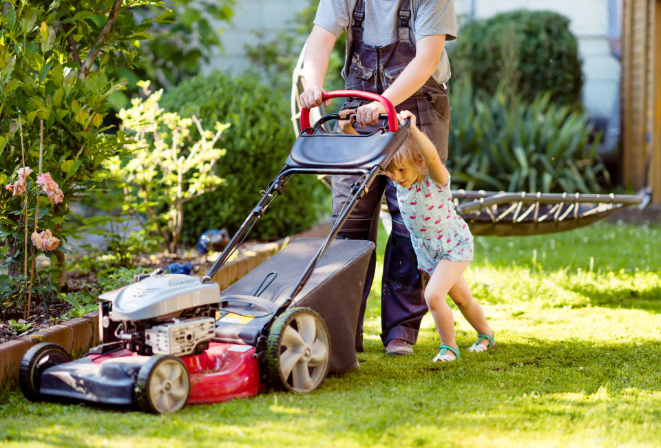 Happy little toddler girl and middle-aged father with lawn mower. Family, daughter, preschool child and dad cut the lawn. Portrait of family working in garden, trimming grass. Garden works in summer