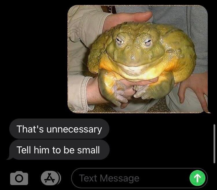 person sending a big frog pic and the other person says tell him to be small