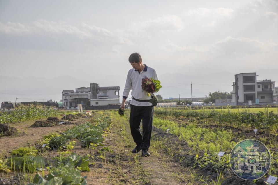 為了讓客人能體驗用餐前拔菜，程智勇開闢800坪開心農場，無農藥栽種蔬果，他認為有趣比賺錢重要，自嘲專做投資報酬率低的事。