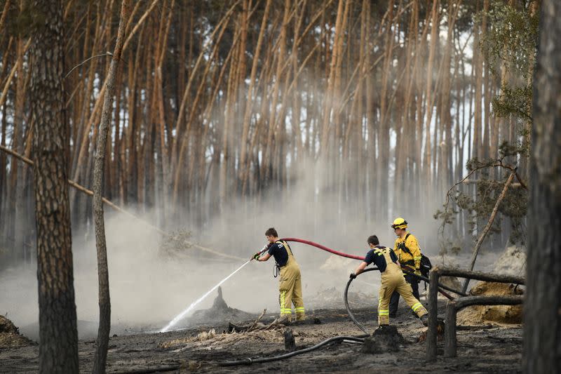 Firefighters work to extinguish a forest fire in Falkenberg