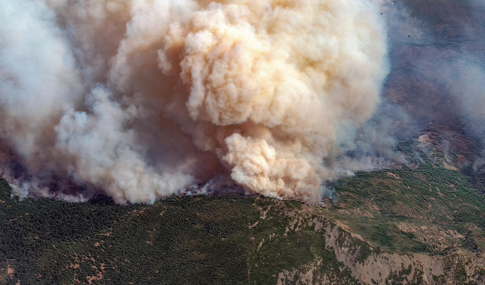 Image: The August Complex Fire (DigitalGlobe / ScapeWare3d/Maxar Technologies/Getty Images file)