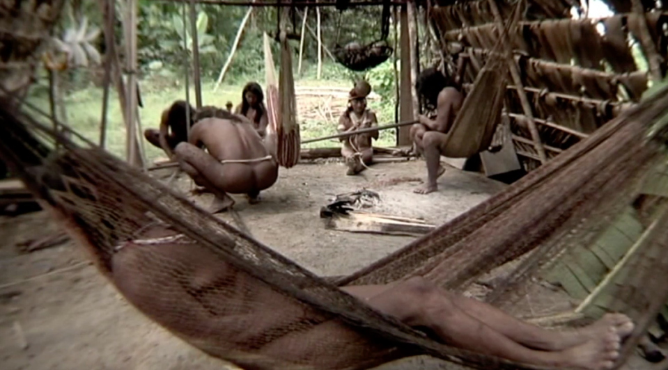 Tribus en aislamiento voluntario (Imagen referencial. Captura de pantalla TAROMENANI, El exterminio de los pueblos ocultos)