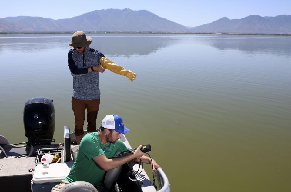 Cody Ellsworth and Riley Dart, water quality technicians for the Utah Division of Water Quality, collect samples and data from Utah Lake on Thursday, July 13, 2023. Provo Bay at Utah Lake is under health advisories due to the outbreak of harmful algal blooms, or cyanobacteria, which can cause respiratory problems, skin irritation and in some cases it can be fatal for dogs. | Laura Seitz, Deseret News
