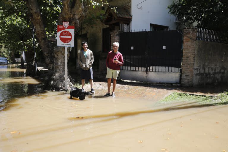 Sudestada en Tigre 