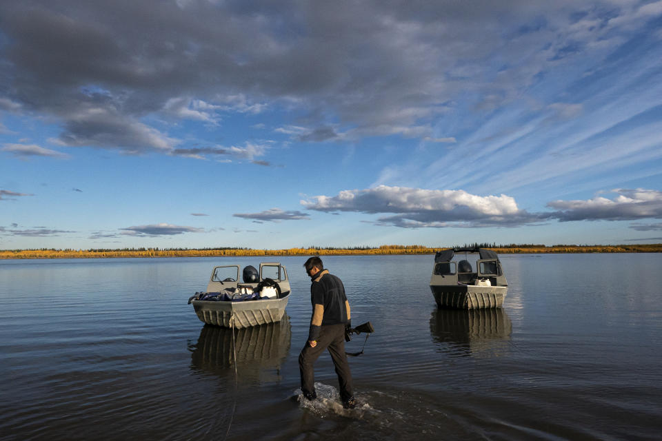 Ben Stevens scans the shore for signs of moose while heading up the Yukon River to the Stevens' Family hunting camp on Tuesday, Sept. 14, 2021, near Stevens Village, Alaska. For the first time in memory, both king and chum salmon have dwindled to almost nothing and the state has banned salmon fishing on the Yukon. The remote communities that dot the river and live off its bounty are desperate and doubling down on moose and caribou hunts in the waning days of fall. (AP Photo/Nathan Howard)