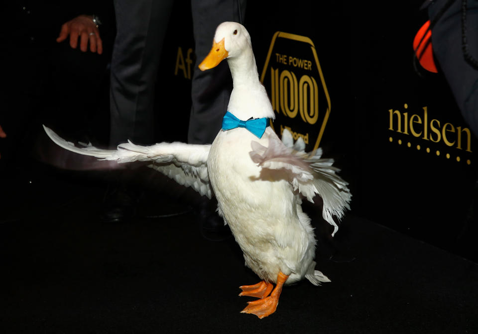 NEW YORK, NY - JANUARY 25:  Aflac Duck attends 2018 Billboard Power 100 List at Nobu 57 on January 25, 2018 in New York City.  (Photo by John Lamparski/WireImage)