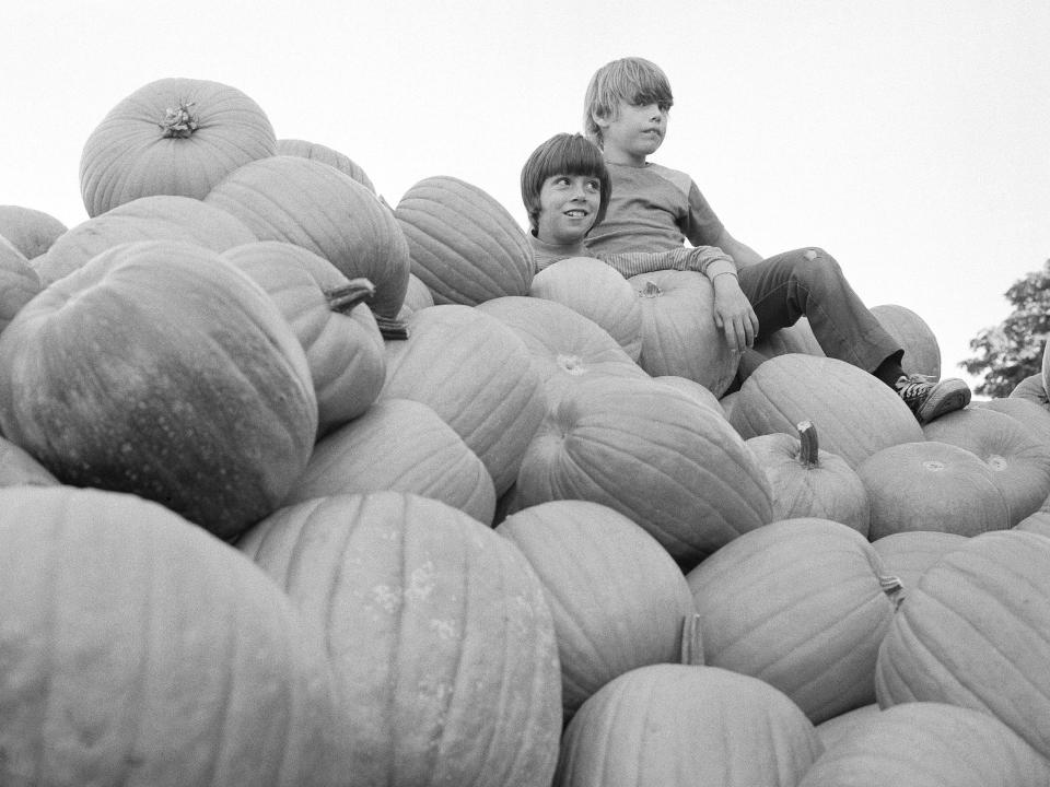 Pumpkin picking in 1976.