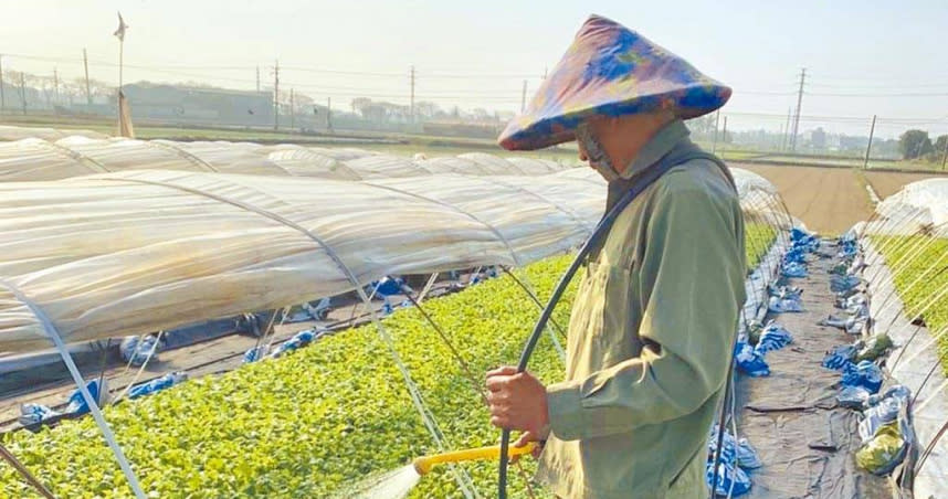 台南市新市區農會幫忙申請農業外籍移工到農場工作。（圖／新市區農會提供）