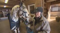 'I call him my therapist': An 83-year-old rider's special bond with her horse