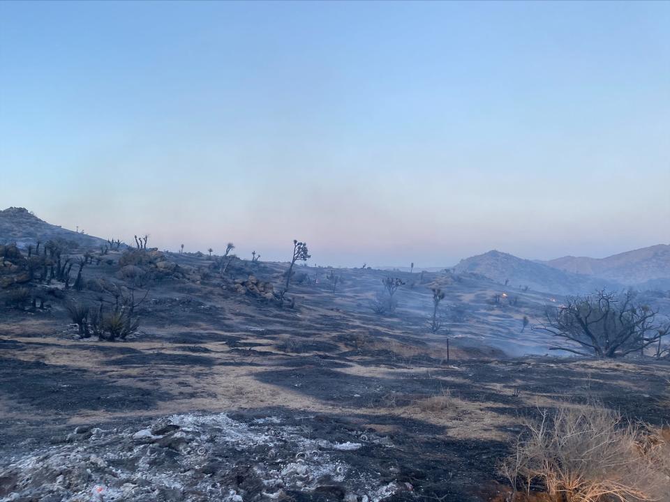 The aftermath of the Elk Fire in Yucca Valley.