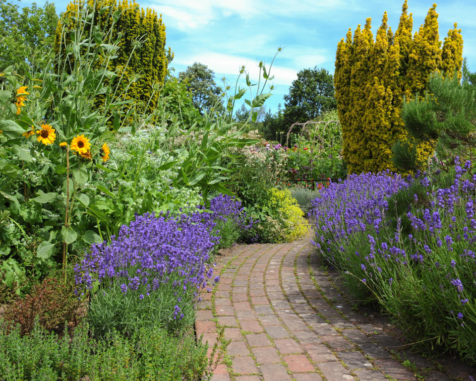 Repeating color with plantings in the garden