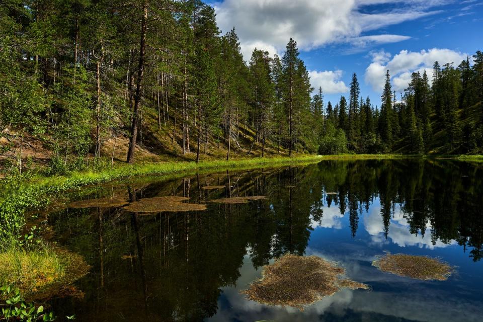 Finland has a total of 41 national parks (Getty Images)