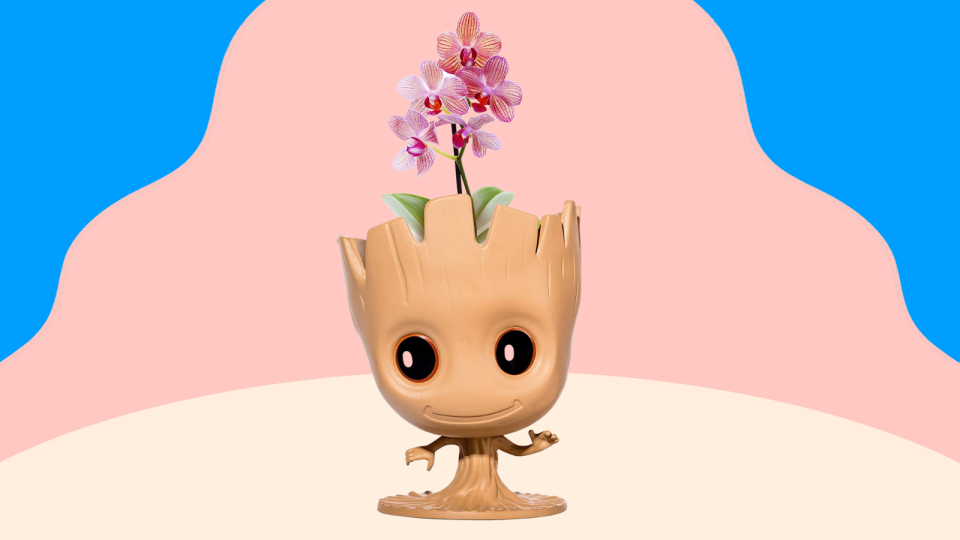 Best gifts under $10: “I Am Groot” Flower Pot