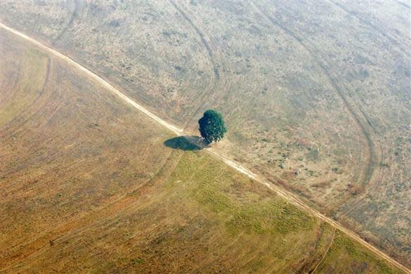 The state of Brazil’s Amazon