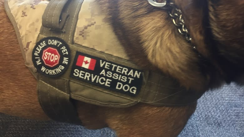 PTSD service dog kicked out of Corner Brook mall made honorary member by local legion