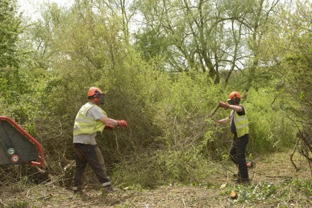 Wiltshire Times: Flashback to May last year when contractors Cambium ripped out the hedgerows for the Weavers Meadows housing development next to Elizabeth Way, Hilperton. Photo: Trevor Porter 69834-3