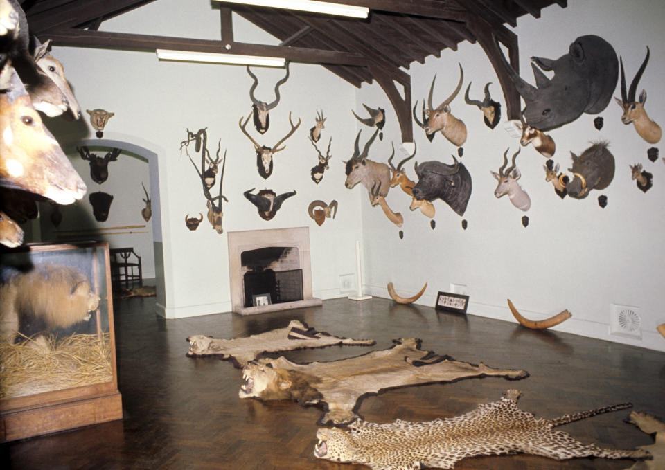 Royal trophies on display in the Big Game Museum, opened to the public at Sandringham