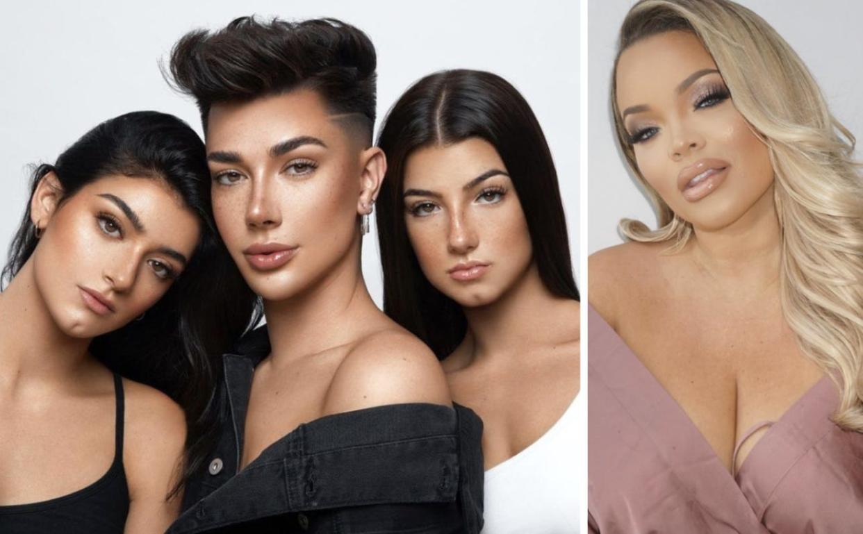 TikTok users were captivated by the drama between the D'Amelio family, James Charles, and Trisha Paytas.