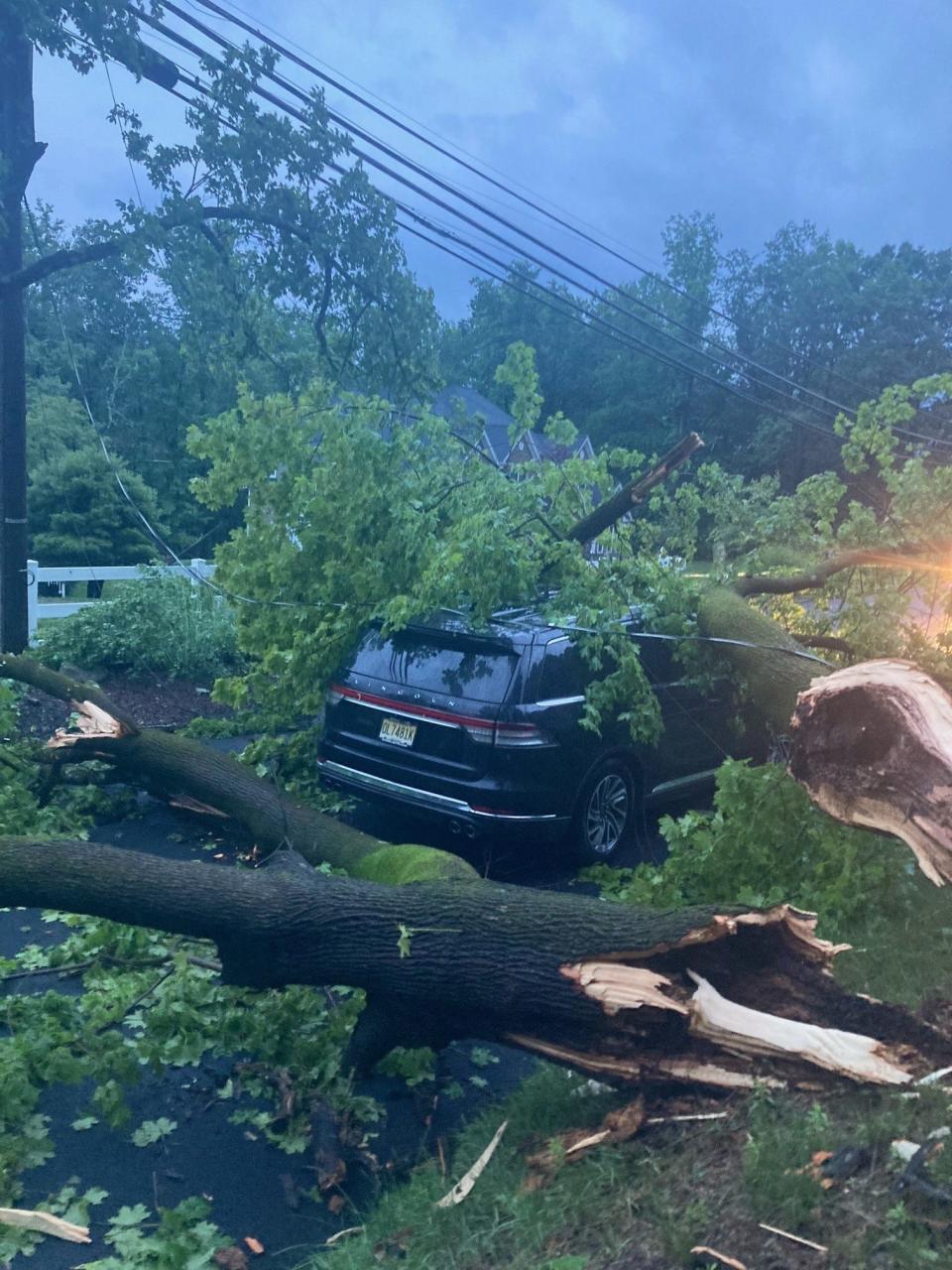 A downed tree in Dover. Almost 8,000 people remained without power in JCP&L's coverage area as of midday Tuesday.