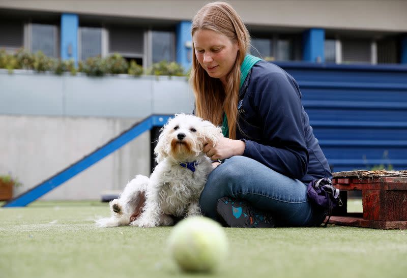 La asistente de reubicación y bienestar Marina Elands saca a Charlie, un bichón frisé, para su rutina de ejercicios diaria en Battersea Dogs and Cats Home, en Londres