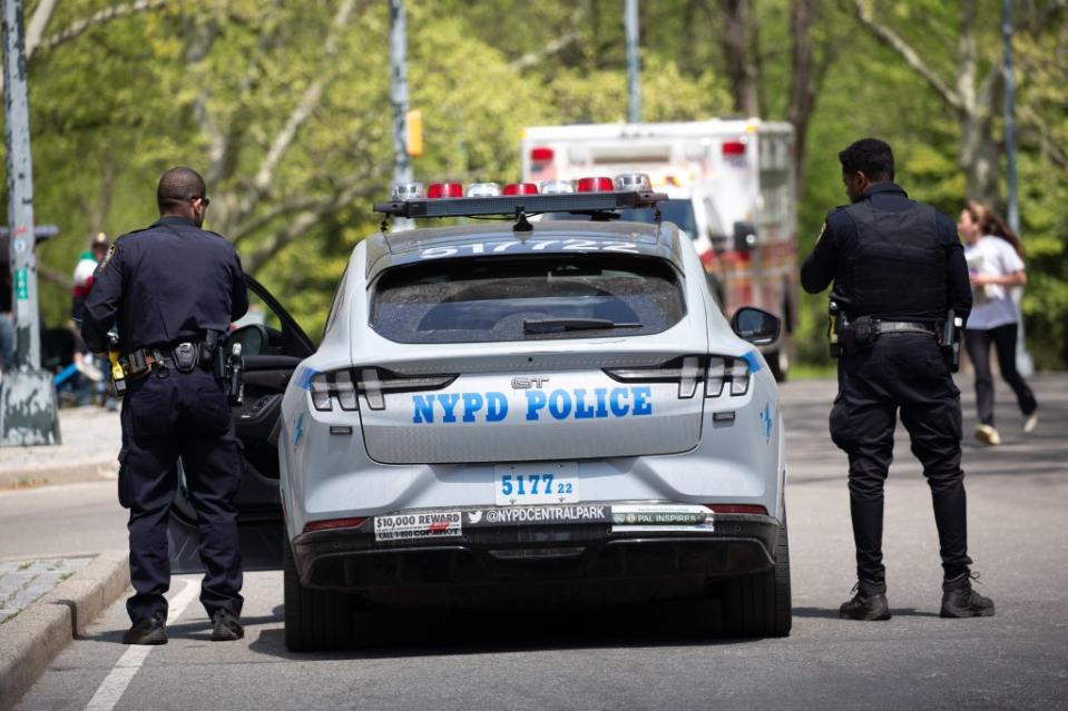 A third shocking attack has unfolded in Central Park in just two days. James Messerschmidt