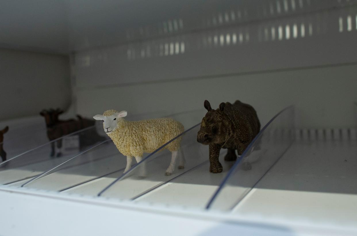 Almost empty shelves are seen at Mary Arnold Toys, New York city oldest toy store on August 2, 2021. (Photo by KENA BETANCUR/AFP via Getty Images)