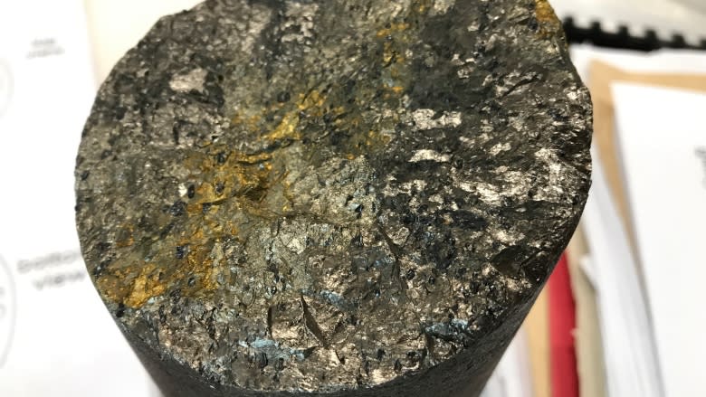 Mineral deposits at Voisey's Bay 'exquisite,' says geology professor