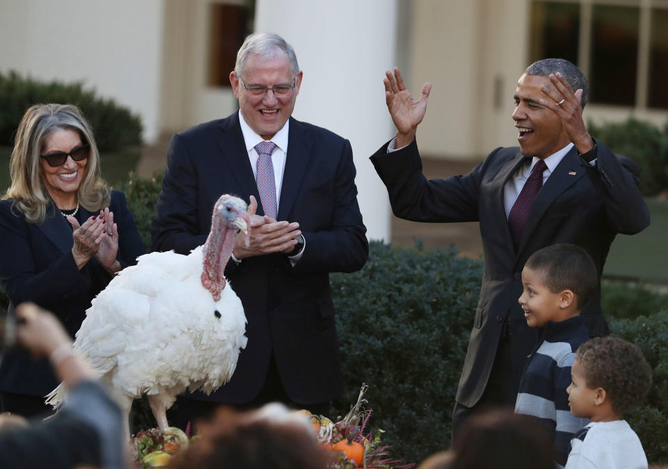 Obama pardons ‘Tot’, the National Thanksgiving turkey