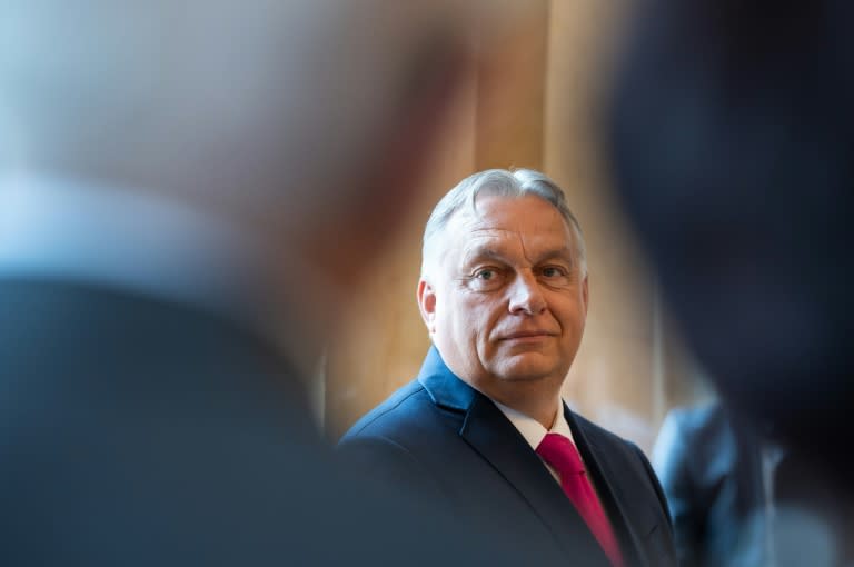El primer ministro Viktor Orban, durante una conferencia con las autoridades del estado federado de Baden-Wuerttemberg en Stuttgart, el 19 de junio de 2024 al suroeste de Alemania (Silas Stein)