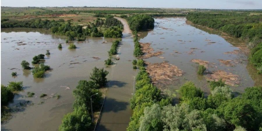 About 55 thousand hectares of forests in Kherson region flooded due to the explosion of the Kakhovka HPP