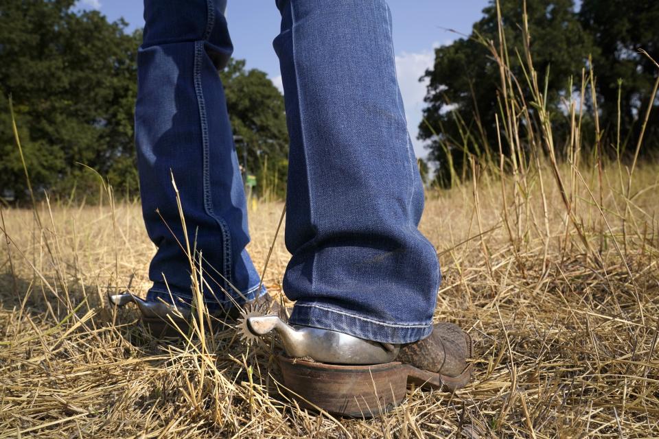 Gilda Jackson walks on a pasture on her property that she grows hay on in Paradise, Texas, Monday, Aug. 21, 2022. Jackson, who trains and sells horses, has been plagued by grasshoppers this year, a problem that only gets worse when the hatch quickens in times of heat and drought. Jackson watched this summer as the insects chewed through a 35-acre pasture she badly needs for hay and what they didn't destroy, the sun burned up.(AP Photo/Tony Gutierrez)