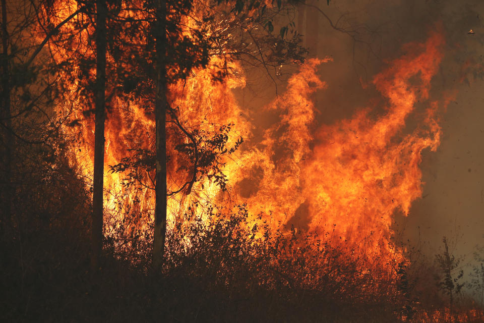 A fire burns out of control in Busbys Flat. Source: AAP