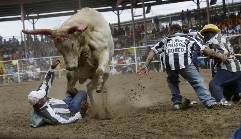 Inmates participate in the Angola Prison Rodeo in Angola, La., Saturday, April 26, 2014. Louisiana’s most violent criminals, many serving life sentences for murder, are the stars of the Angola Prison Rodeo, the nation’s longest-running prison rodeo that this year celebrates 50 years. The event has grown from a small “fun” event for prisoners into big business, with proceeds going into the Louisiana State Penitentiary Inmate Welfare Fund for inmate education and recreational supplies. (AP Photo/Gerald Herbert)