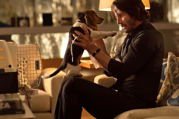 John Wick Beagle