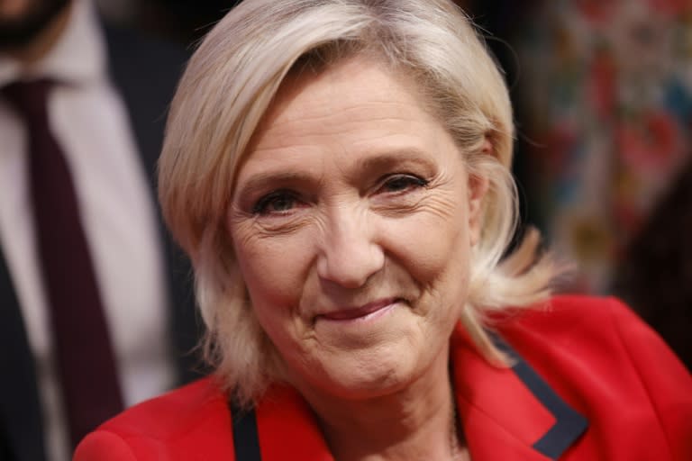 Marine Le Pen said a far-right government would take control of the military from President Emmanuel Macron (GEOFFROY VAN DER HASSELT)