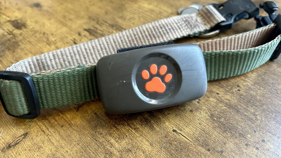 a photo of the PitPat GPS dog tracker on a collar