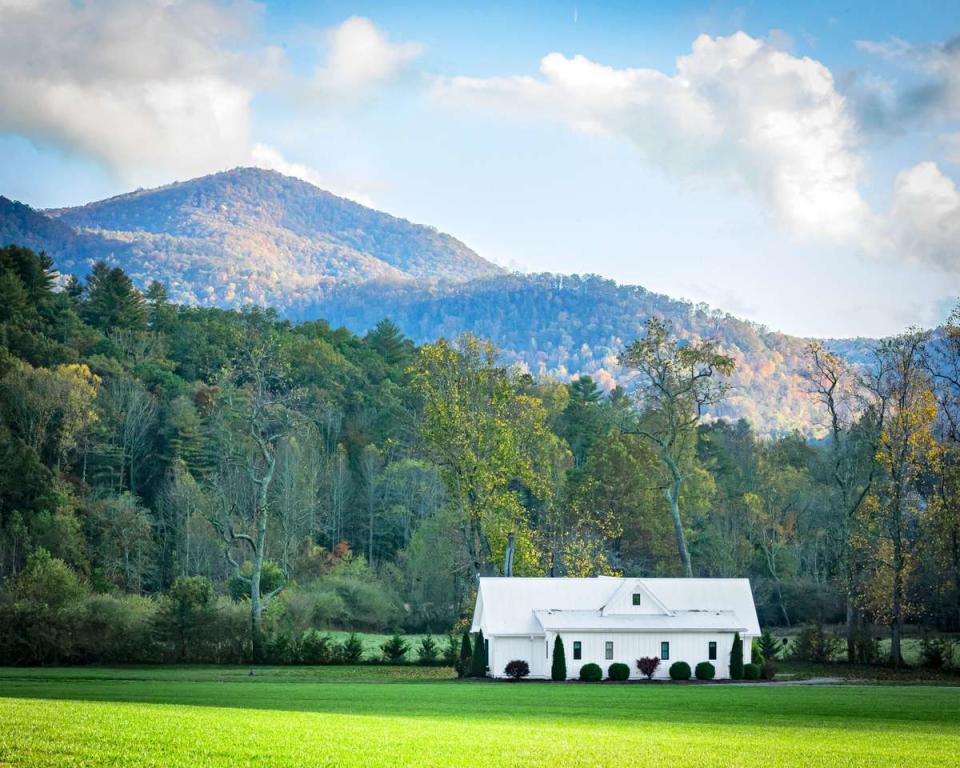 Julep Farms in Dillard, GA