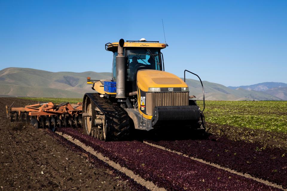 A tractor plows under what would have been Spring Mix, a popular and widely distributed salad mix on April 28, 2020 in Greenfield, California. (Getty Images)