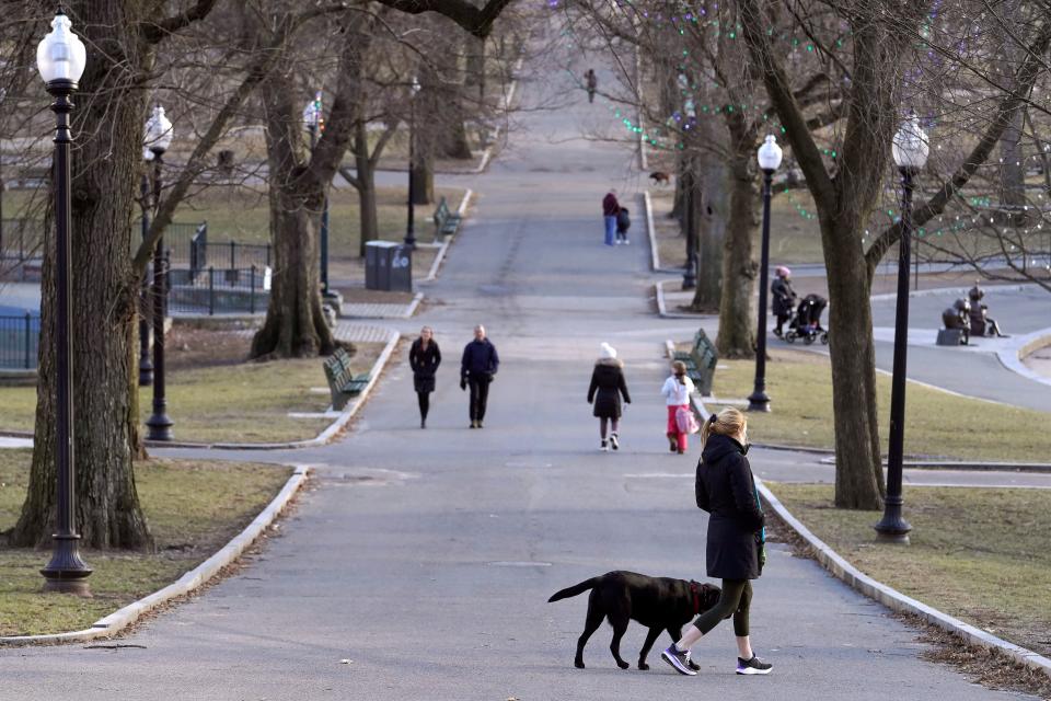 A passer-by walks their dog along a path in the Boston Common, near the Statehouse on Beacon Hill, Monday, Feb. 13, 2023, in Boston. For much of the Eastern United States, the winter of 2023 has been a bust. Snow totals are far below average from Boston to Philadelphia in 2023 and warmer temperatures have often resulted in more spring-like days than blizzard-like conditions.