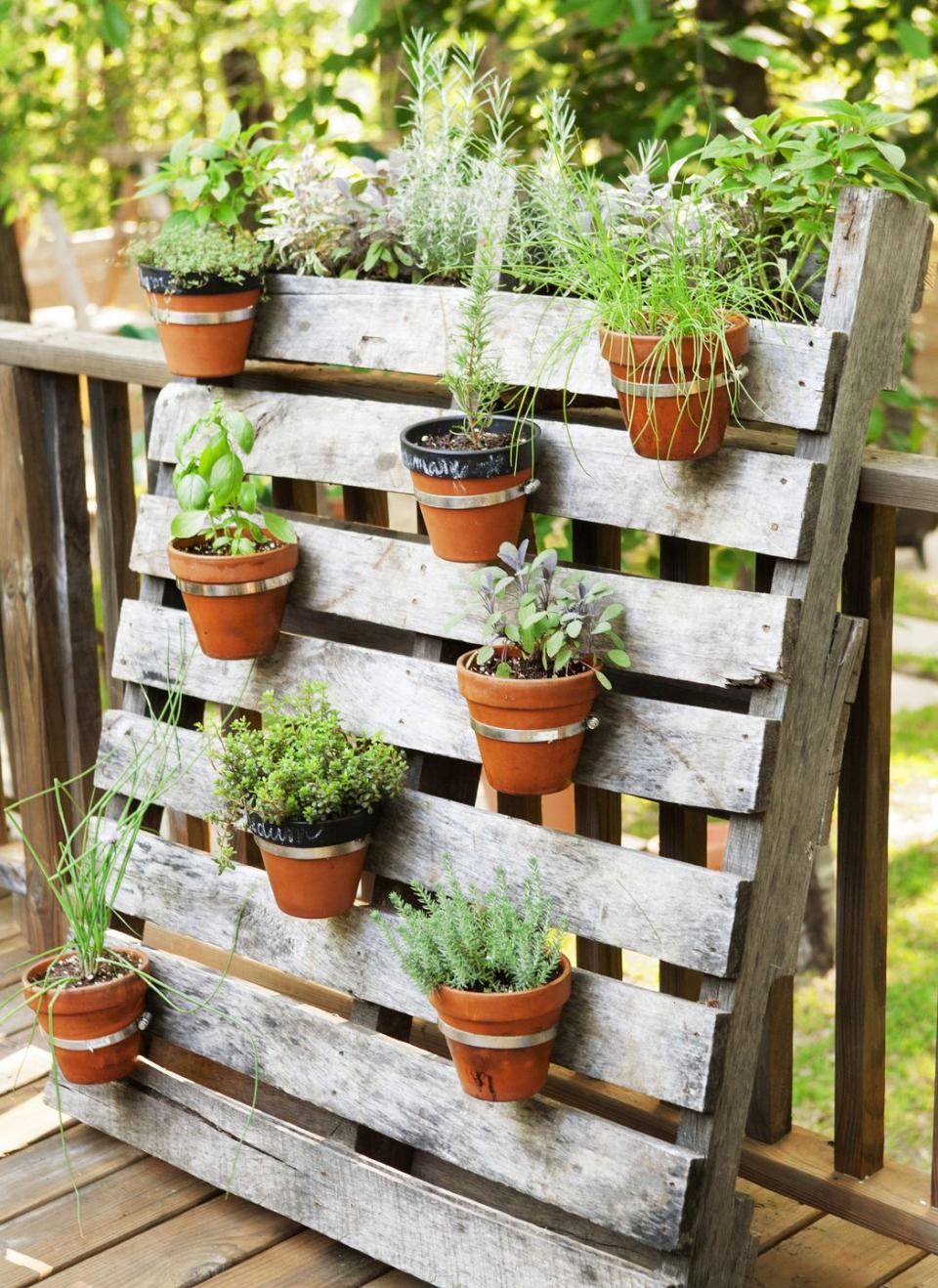 Pallet Garden