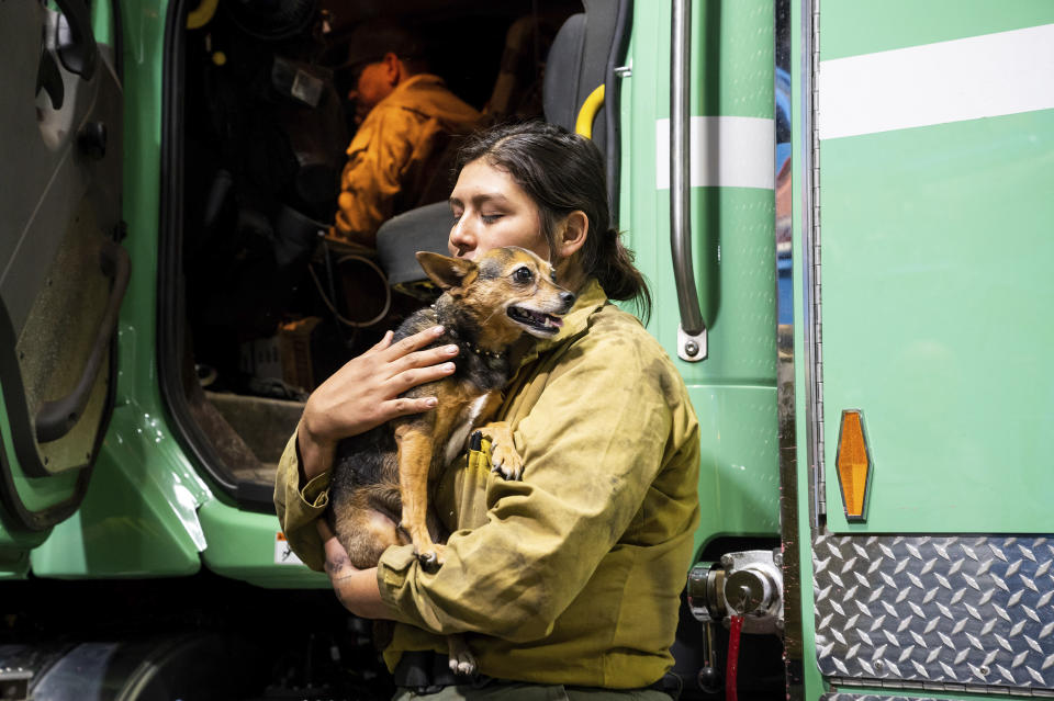 A firefighter holds a dog while standing next to a fire truck.