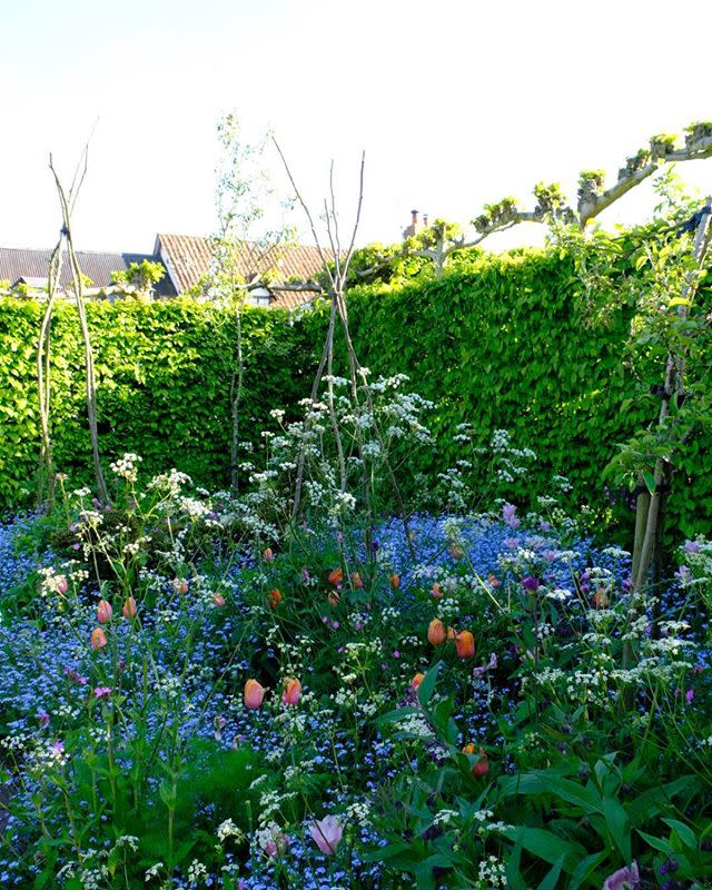 <p>Monty Don's cottage garden was first used as a vegetable patch, but, over the years, the gardener has transformed it into a traditional space filled with soft colours, fruit trees and over 50 kinds of old-fashioned shrub roses.</p><p><a href="https://www.instagram.com/p/B_1vz6pphPM/">See the original post on Instagram</a></p>