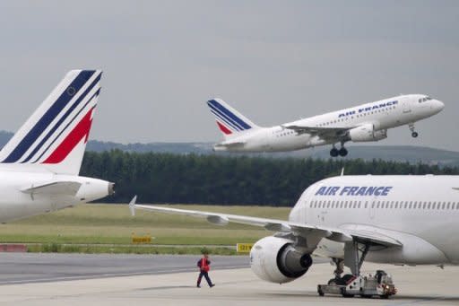 This file photo shows Air France planes at the Roissy-Charles de Gaulle airport outside Paris on June 1. Airline industry group IATA warned on Monday global profits would more than halve this year owing to surging oil prices and the eurozone crisis, with European carriers suffering losses of $1.1 billion