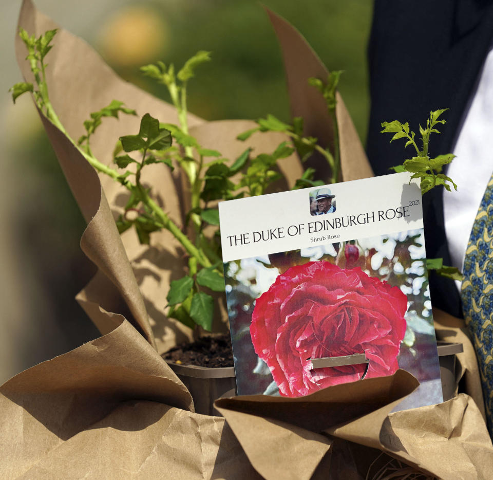 President of the Royal Horticultural Society, Keith Weed presents Britain's Queen Elizabeth II with a Duke of Edinburgh Rose, named in memory of her late husband Prince Philip, the Duke of Edinburgh, at Windsor Castle. / Credit: STEVE PARSONS/POOL/AFP via Getty Images