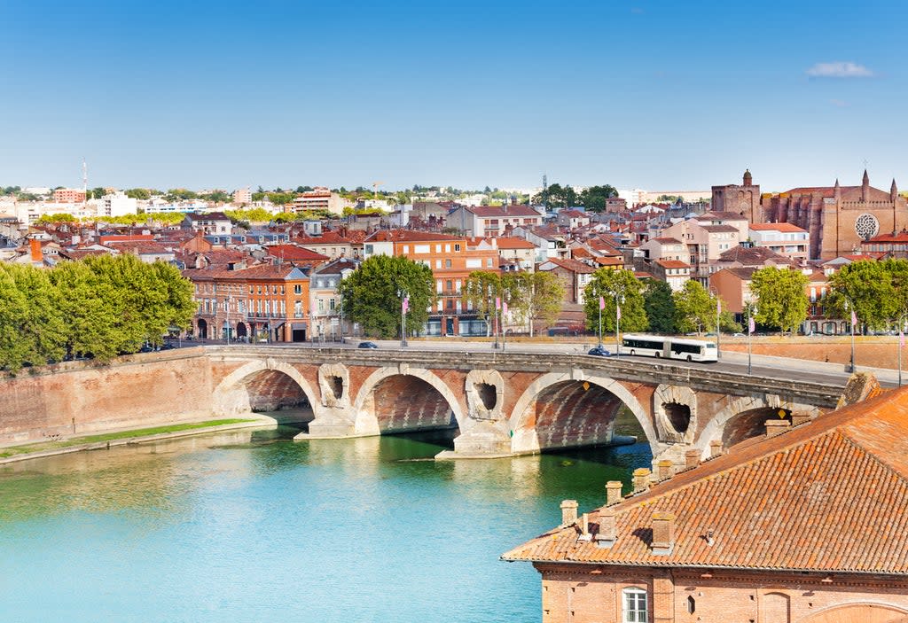 Toulouse and Pont Neuf bridge across the Garonne  (Getty/iStockphoto)